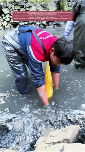 Worker Using Suction Pump to Clean Mud from Fish Pond