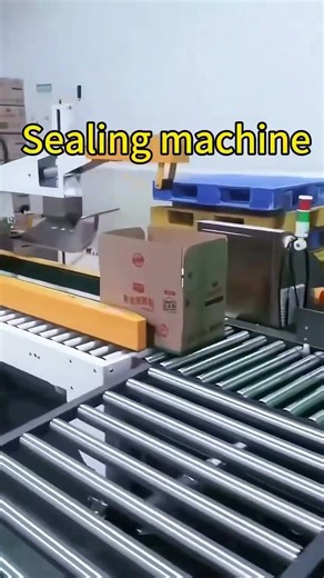 Canned Beverage Case Packing Line | Automatic Gripping Loading & Carton Sealing Machine
