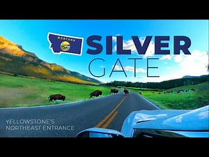 Silver Gate , Cooke City Montana Yellowstone's Northeast Entrance Wildlife