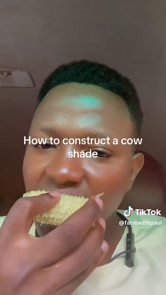 All About Cow Shade Construction for Your Farm