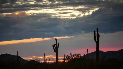 New data shows Shade Phoenix Plan could save city money, cool neighborhoods down
