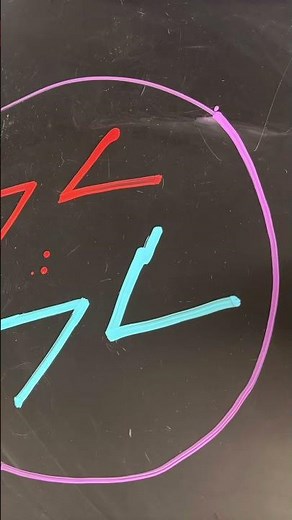Cell Cycle by Elliot, Ricardo, Jordan, and Alex