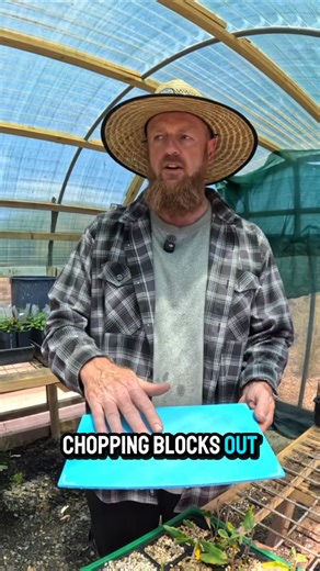 David Binch on Instagram: "This is from my recent YouTube video Potting On Struck Grevillea Cuttings. As you’ll see, propagation doesn’t always go to plan and I don’t always get a big win — but at least I managed to get something going. I hope you enjoy the video, and if you do, please consider subscribing to my channel 🌱 #Grevillea #PlantPropagation #AustralianNativePlants #GardenLife #binchys_garden"