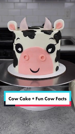Fun Cow Cake Ideas and Animal Facts