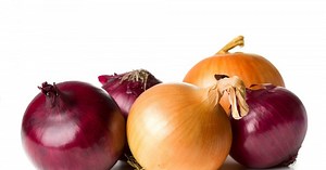 Quelles idées de recettes avec des oignons ?