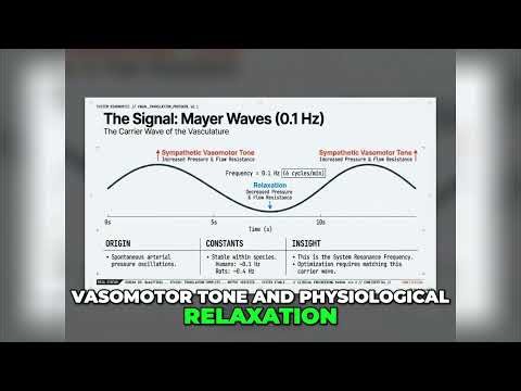Unlock Peak Coherence: The 0.1 Hz HACK Explained #shorts