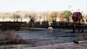 Official Trailer | Season 1 | STAR