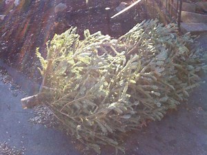 5 Things You Need to Know Today: Jan. 5