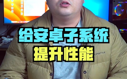 给安卓子系统设置一个独立显卡，性能秒杀一切手机