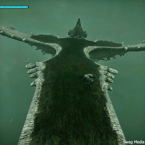 Defeat The 5th Colossus ! Dangerous Bird Boss | Shadow Of The Colossus #fb #gaming #colossus #pc #ps5 #gamingpc #shadowofthecolossus #playstation #gamers #gamingcommunity #pcgaming #fbgaming | Swag Media