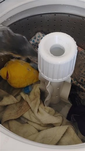 Keeping Your Dog's Bed Clean: Tips and Tricks