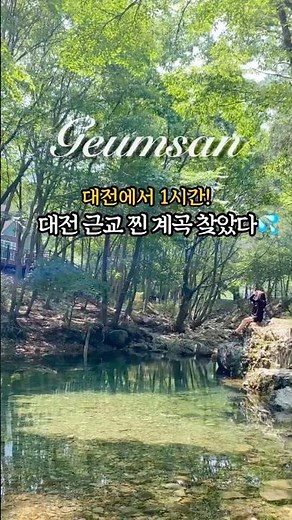 대전에서 1시간! 평상 예약 가능한 계곡 공개🌿 금산산림문화타운 (구.남이자연휴양림)