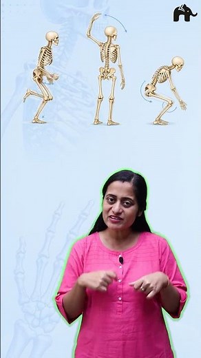 Locomotion and Movement CBSE Class 11 Biology with Roshni Mam #concepthogacrystalclear