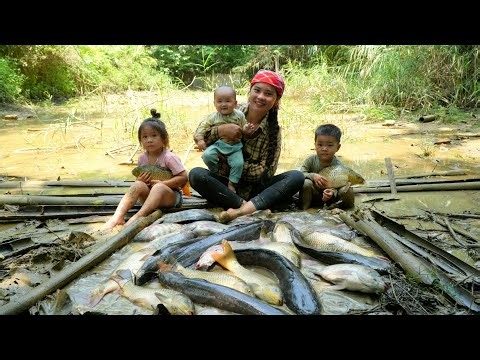 How to drain a muddy pond to catch giant fish to sell - Cooking noodles for the kids to eat