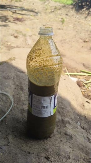 new project #shortsvideo #short#viral#funny #pranck