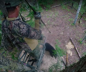 Video: Tim Wells Spears Big Bear from Above | OutdoorHub