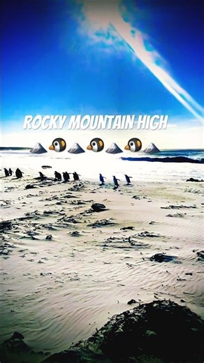 Rocky Mountain High #penguin #colorado #johndenver #countrymusic