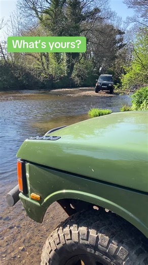 Emotional Support Animals: Finding Your Companion