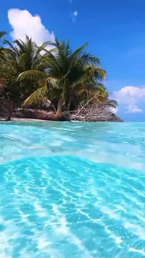 City life #beach #tropical #tropical_vibessss