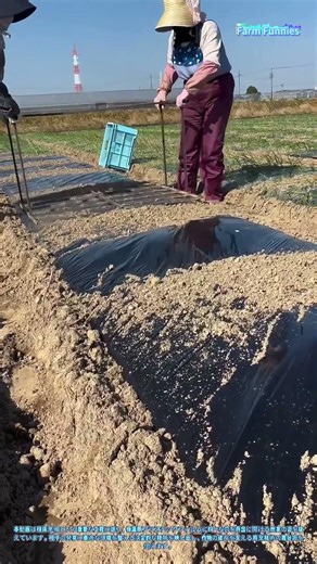 種床準備の技：丹念な手入れで育む成長