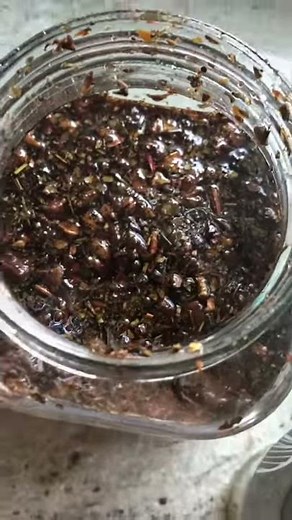 Swedish Bitters 22 Herbs Original Maria Treben Recipe made with Wine