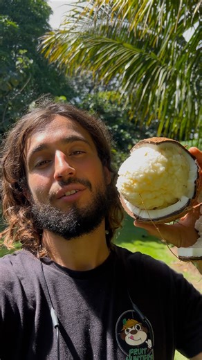 Fruit Hunters on Instagram: "TROPICAL ABUNDANCE 🌞❤️ We are now in Fall and the fruit abundance continues here on my South Florida Farm! Check out the fruits I’m currently harvesting and eating over here! 😏 There is no better feeling that watching the trees I planted grow up into fruitful adults🌱 I have Ackee a dangerous yet delicious fatty fruit that tastes like cheese, Sweet passion fruits coming off the vines and even delicious monsters that have an irresistible aroma all on my homestead in