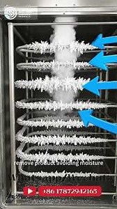 Freeze-drying process flow