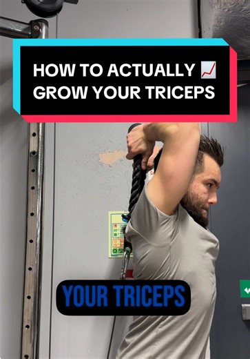 How to Effectively Grow Your Triceps in 31 Days