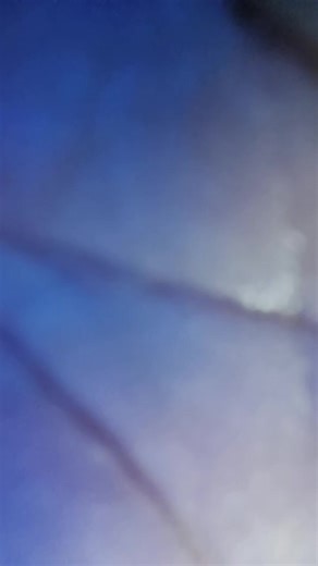 TMO CWE YOK GASS JOIN LIVE