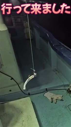 唐津唐房のボートアジング体験記