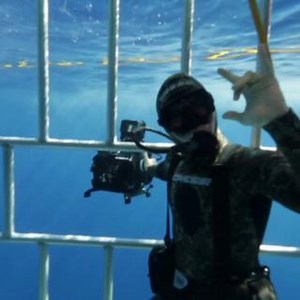 🌊 Remembering Rob Stewart: A Legacy of Love and Change 🌊 Dec 28, 1979 – Jan 31, 2017 Today, we celebrate the incredible life of Rob Stewart. Rob was not just a filmmaker, author, marine biologist, and shark activist; he was also a friend, mentor, brother, son, uncle, nephew, and cousin. In Rob’s words: "Everyone changes the world. It’s just how much and in what direction. The good thing is, the more people know, the more they can change the world in a better way." We are grateful to Rob for de