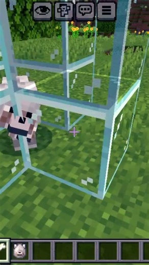 The Weirdest Dog Glitch in Minecraft! 😱 (No Mods)