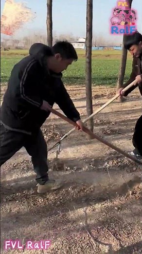 Farmers using homemade wheeled plows are more efficient than traditional hoes