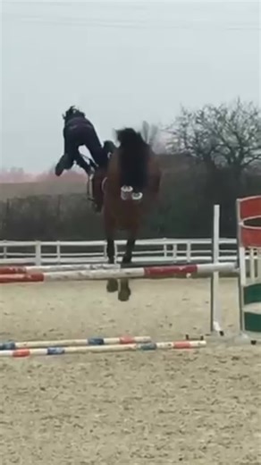 FLY HIGH: Hilarious Equestrian Showjumping Fails