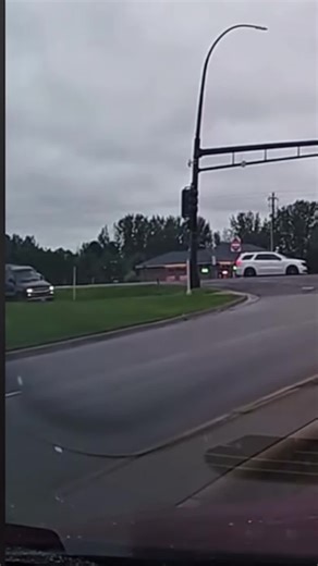 Essential Car Insurance for Safe Driving