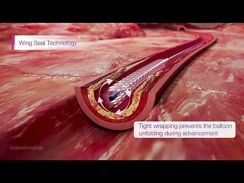 Protégé DEB Technology