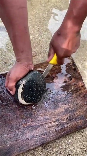 what's inside hiding | See view