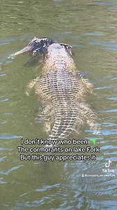 Seen this big guy yesterday | LaRay Cooper
