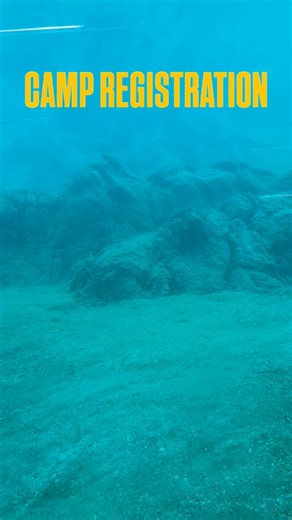 The Baton Rouge Zoo Spring Camp & Summer Camp Registration Opens Up TOMORROW February 28th for EBR Parish Residents and March 7th for all out-of parish residents!!! ⛺️ For more info visit brzoo.org! | BREC's Baton Rouge Zoo