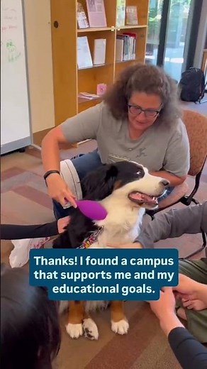 Fall quarter is just around the corner! It’s not too late to start your Bellevue College story.