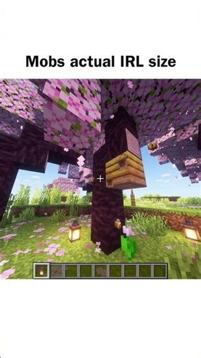 Minecraft Mobs IRL Size #minecraft #shorts