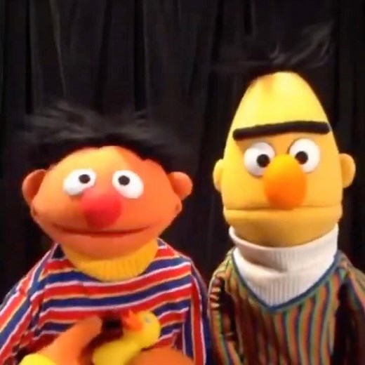 The Best Of Bert And Ernie (VINE)