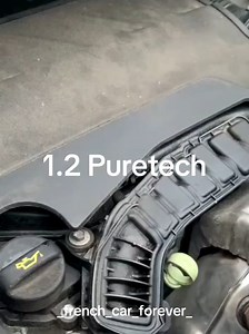 Peugeot Citroen 1.6 HDI Engine Performance