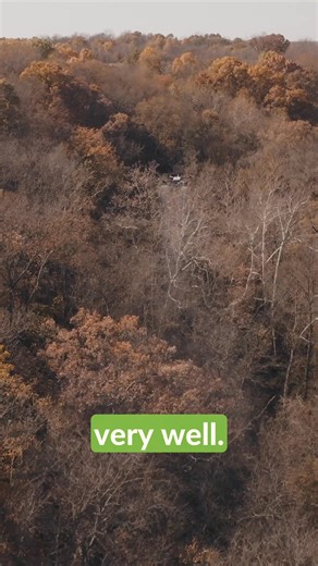 Why are spray drones perfect for targeting invasive honeysuckle? Catch the full vid link in the comments! | Agri Spray Drones