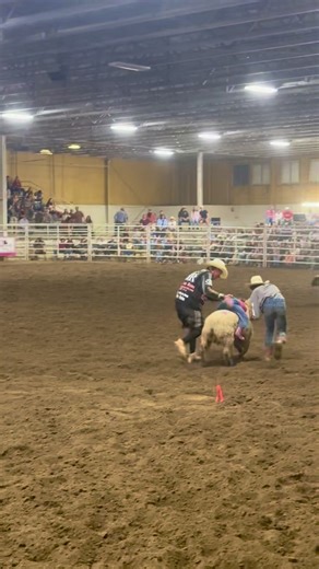 #rodeo #muttonbusting