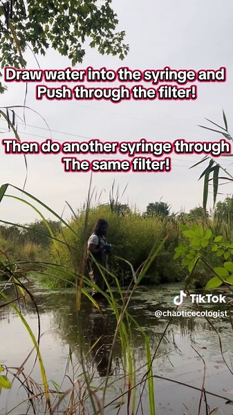 I love eDNA sampling because it's a great way to gauge presence of an organism without having direct capture! #conservation #environmental #dna #science #ecolog