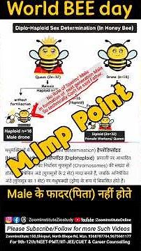 Sex Determination in Honey Bee : Class 12 Biology