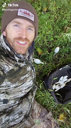 Identifying Shaggy Mane Mushrooms for Beginners