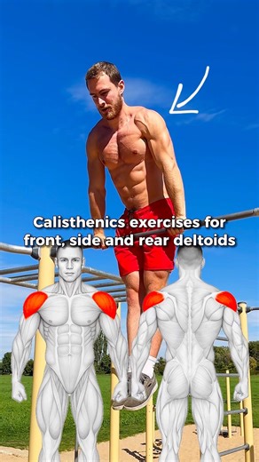 Calisthenics Shoulder Exercises