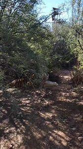 4K views · 294 reactions | Pumpkin carving mittens! | Brittney & Zion | Facebook